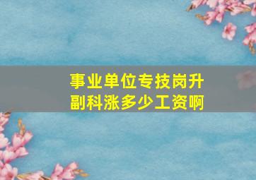 事业单位专技岗升副科涨多少工资啊