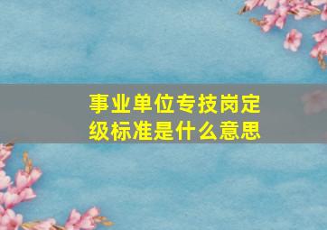 事业单位专技岗定级标准是什么意思