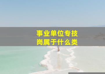 事业单位专技岗属于什么类