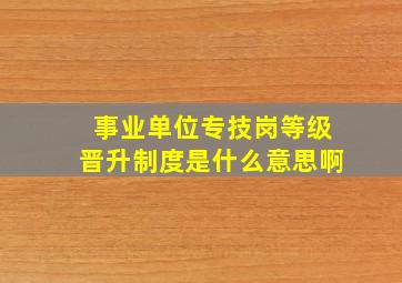 事业单位专技岗等级晋升制度是什么意思啊