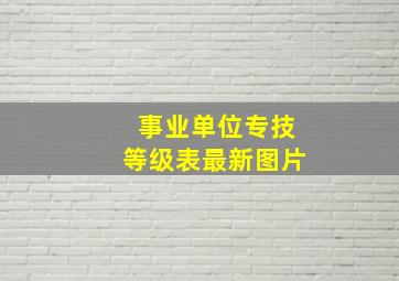 事业单位专技等级表最新图片