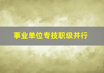 事业单位专技职级并行