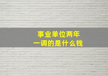 事业单位两年一调的是什么钱