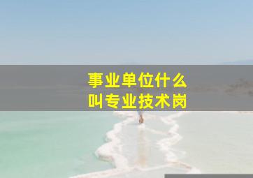 事业单位什么叫专业技术岗