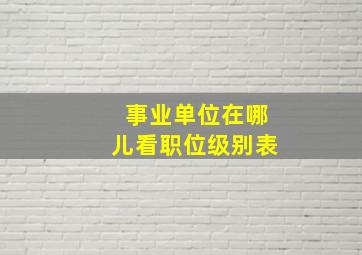 事业单位在哪儿看职位级别表