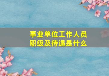 事业单位工作人员职级及待遇是什么