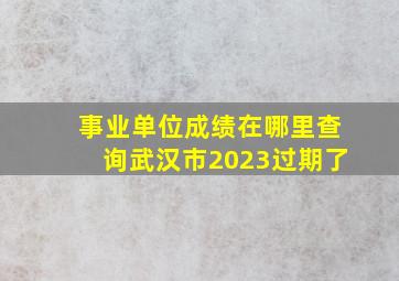 事业单位成绩在哪里查询武汉市2023过期了