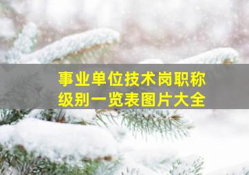 事业单位技术岗职称级别一览表图片大全