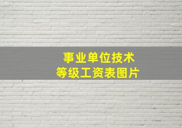 事业单位技术等级工资表图片