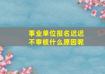 事业单位报名迟迟不审核什么原因呢