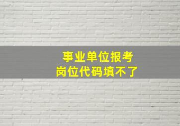 事业单位报考岗位代码填不了