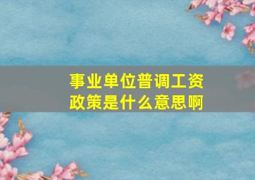 事业单位普调工资政策是什么意思啊