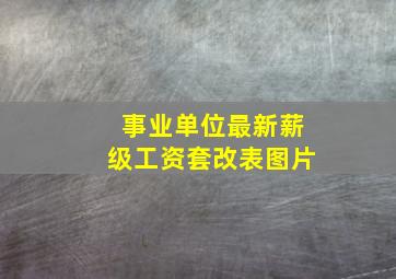 事业单位最新薪级工资套改表图片