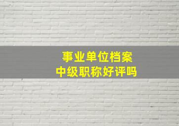 事业单位档案中级职称好评吗