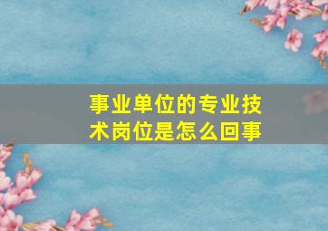 事业单位的专业技术岗位是怎么回事