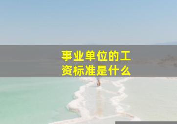 事业单位的工资标准是什么