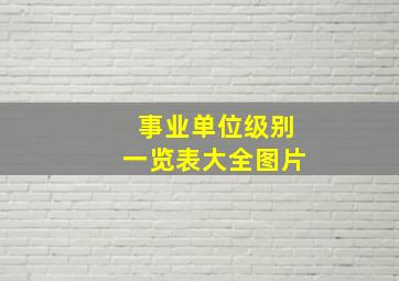 事业单位级别一览表大全图片