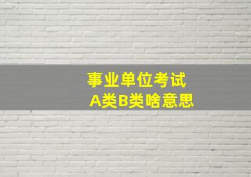 事业单位考试A类B类啥意思