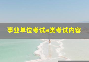 事业单位考试a类考试内容