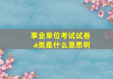 事业单位考试试卷a类是什么意思啊