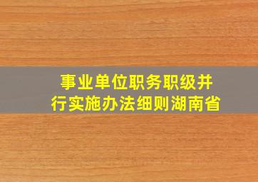 事业单位职务职级并行实施办法细则湖南省