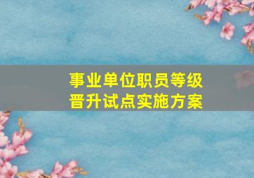 事业单位职员等级晋升试点实施方案