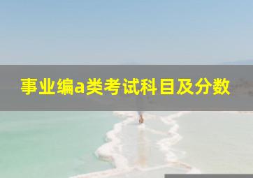 事业编a类考试科目及分数