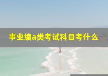 事业编a类考试科目考什么