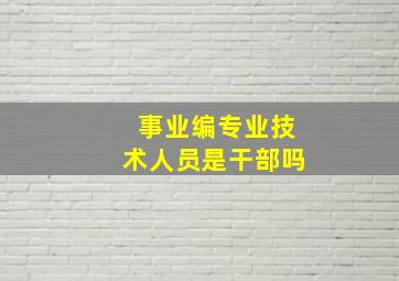 事业编专业技术人员是干部吗