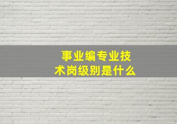 事业编专业技术岗级别是什么