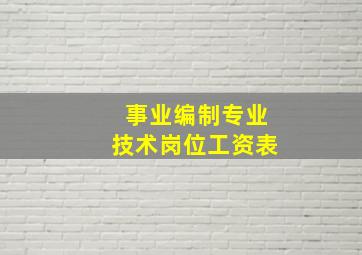 事业编制专业技术岗位工资表