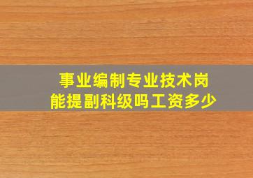 事业编制专业技术岗能提副科级吗工资多少