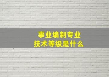 事业编制专业技术等级是什么