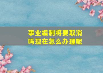 事业编制将要取消吗现在怎么办理呢