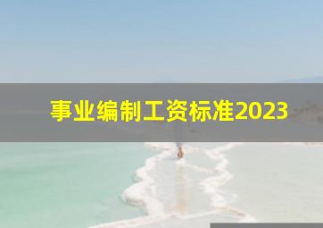 事业编制工资标准2023