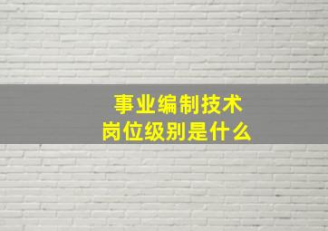 事业编制技术岗位级别是什么