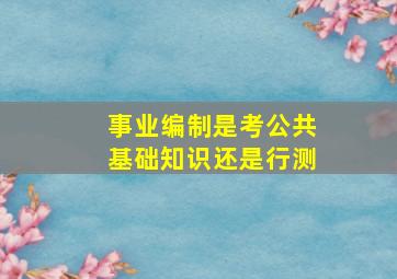 事业编制是考公共基础知识还是行测