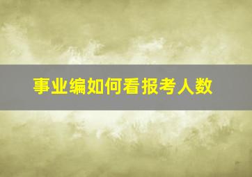 事业编如何看报考人数