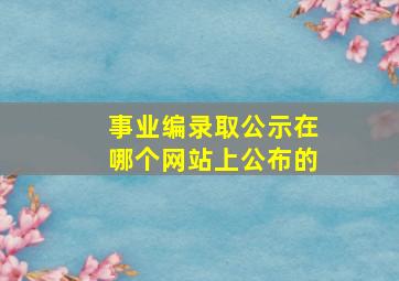 事业编录取公示在哪个网站上公布的