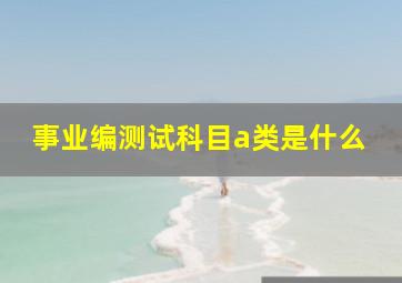 事业编测试科目a类是什么