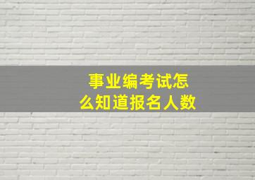 事业编考试怎么知道报名人数