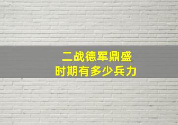 二战德军鼎盛时期有多少兵力