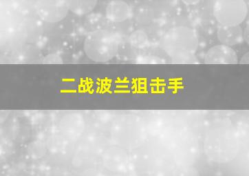 二战波兰狙击手