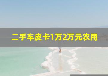 二手车皮卡1万2万元农用