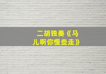 二胡独奏《马儿啊你慢些走》