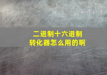 二进制十六进制转化器怎么用的啊