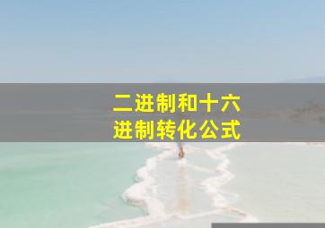 二进制和十六进制转化公式