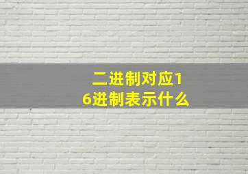 二进制对应16进制表示什么