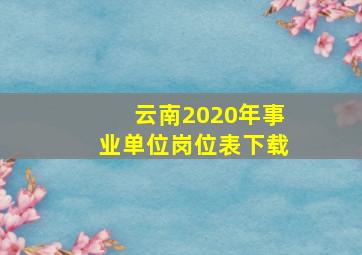 云南2020年事业单位岗位表下载