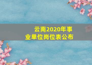 云南2020年事业单位岗位表公布